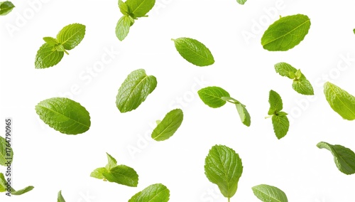 Fresh mint leaves drifting against a white backdrop.