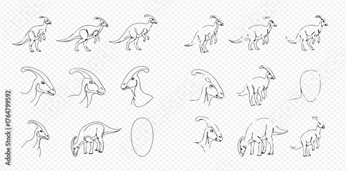 Detailed line art collection of Parasaurolophus dinosaur, featuring multiple poses, head studies, and an egg, presented as a drawing guide.