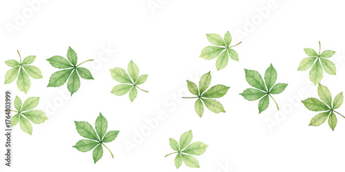 Adobe Illustrator Artwork