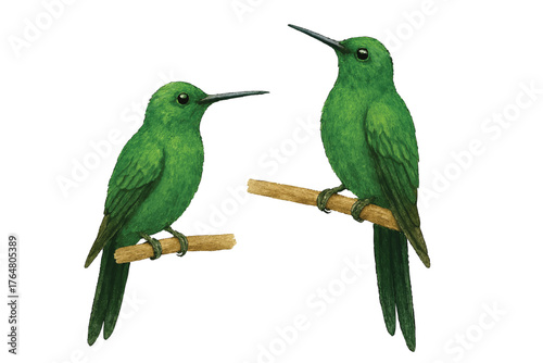 Adobe Illustrator Artwork