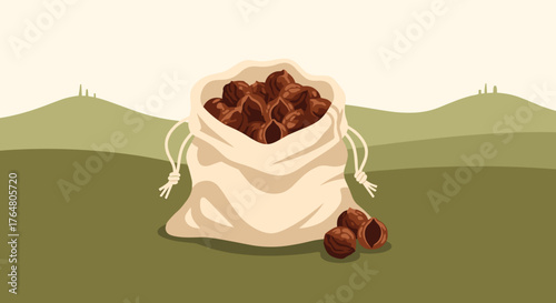Soapnuts in cotton bag on green landscape background  