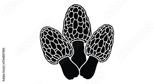 A black and white illustration depicting three morel mushrooms together