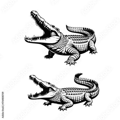 Two stylized illustrations of a crocodile with its mouth open, showcasing sharp teeth and scaly skin, presented on a clean white background for graphic design purposes
