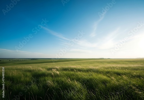 Vast green field under a clear blue sky with wispy clouds during sunset
