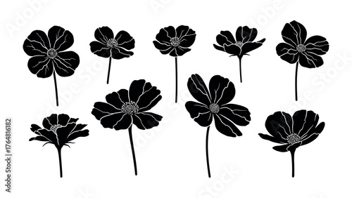 Elegant Floral Silhouettes: A collection of exquisite floral silhouettes, with each flower meticulously crafted.