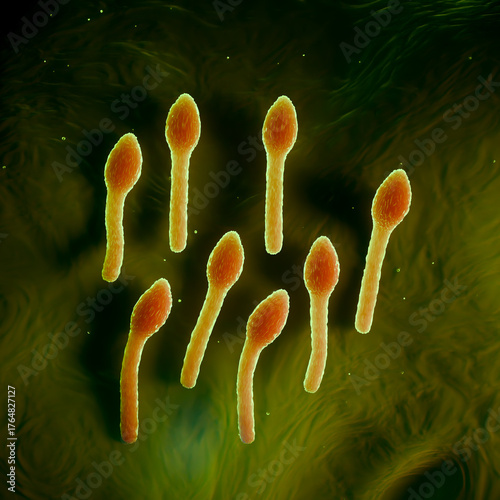 Clostridium Tetani Bacterium Microscopic 3D Render