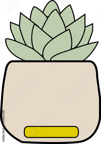 Charming potted succulent houseplant illustration