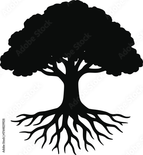 tree with wide canopy and exposed roots spreading outward silhouette