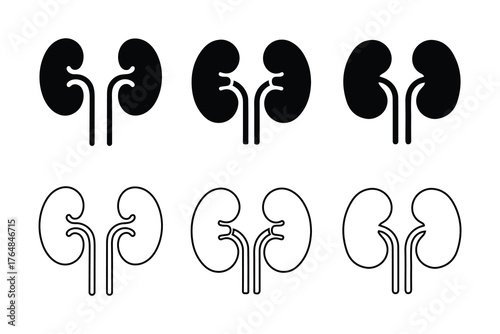 Pair of Human Kidneys Icon Set.