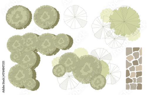 Tree for architectural floor plans. Entourage design. Various trees, bushes, and shrubs, top view for the landscape design plan. Vector illustration.
