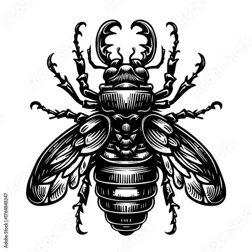 Detailed vector illustration of a stag beetle with open wings, showcasing intricate lines and shading.