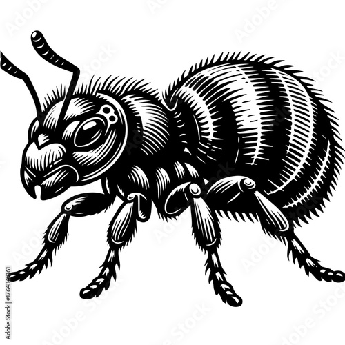 vector illustration of a skull and bones