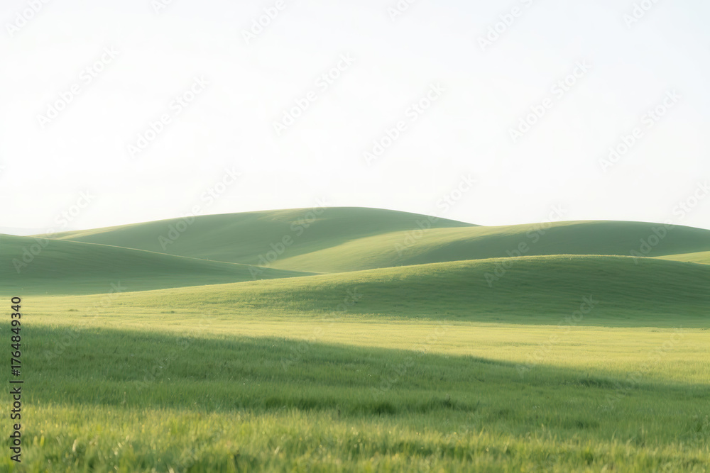 Fototapeta premium Vast expanse of lush green meadow with dense grass under sunlight, rolling hills in distance under clear white sky, serene and open landscape concept.