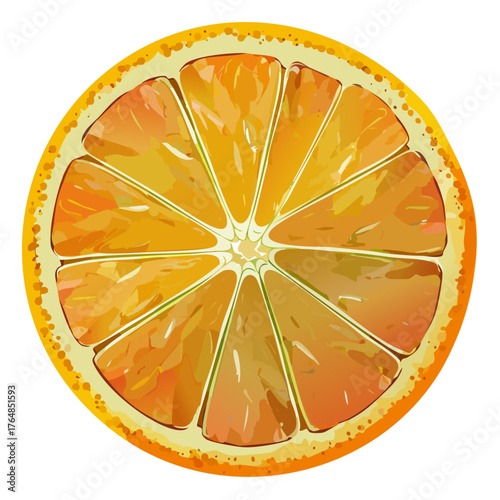 Sliced Orange Cross Section Graphic