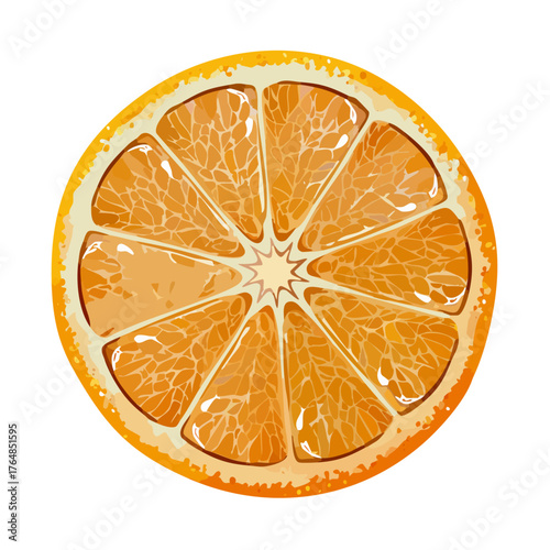 Fresh Orange Fruit Vector Illustration