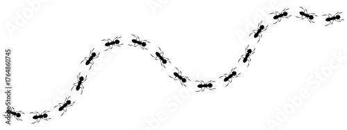 Simple vector illustration of an ant trail. Black print track shows ants walking in a wavy line, representing teamwork, following a path, or an insect pattern