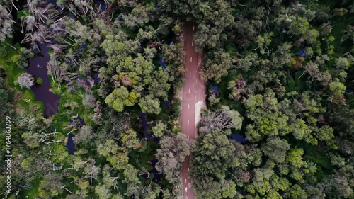 Beautiful aerial view showcasing a winding road surrounded by dense greenery and serene water bodies in nature.