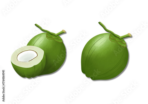 Fresh Green Coconuts - Whole and Halved Tropical Fruit

