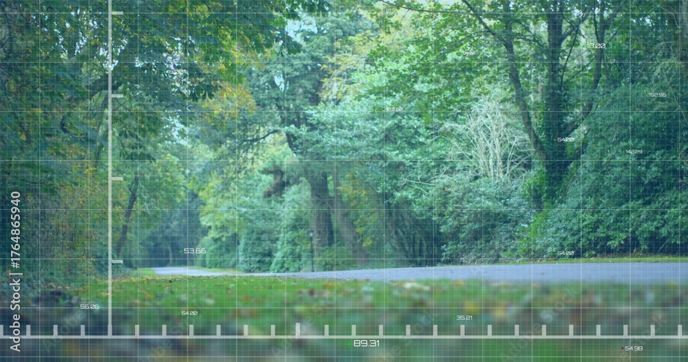Fototapeta premium Cutting paved asphalt road slicing through woodland, with grassy verge, fallen leaves and foliage