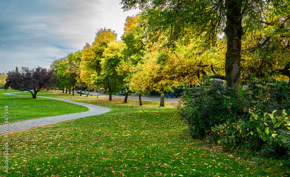 Naklejka premium Lake Park Fall Colors 6