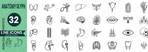Collection of hand drawn medical and anatomical icons representing human organs and body parts
