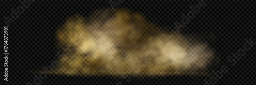 Desert storm with flying sand and swirling dusty clouds.