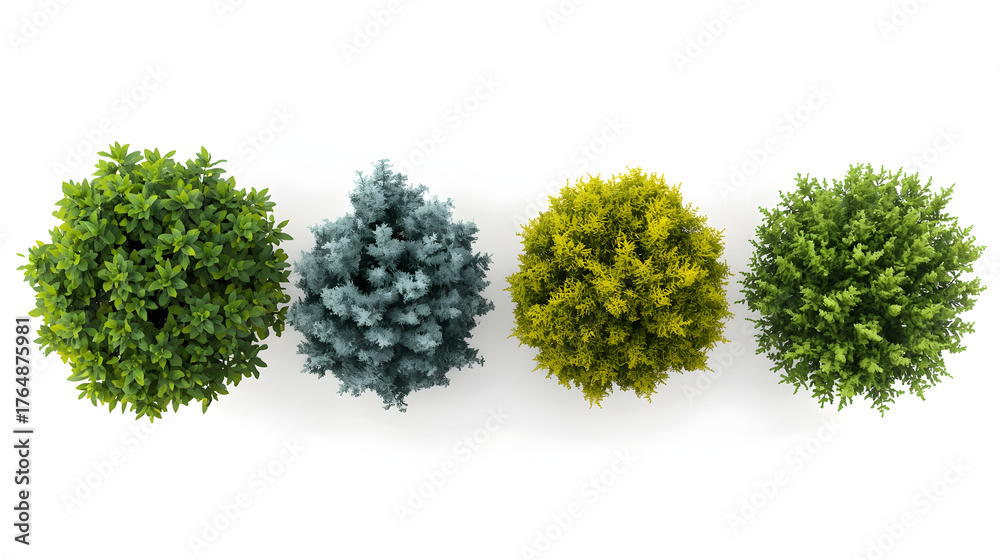 Fototapeta premium Green tree isolated on a white background with a small bunch of purple flowers