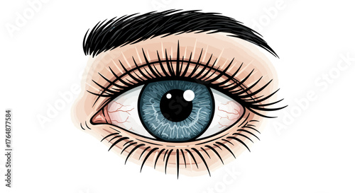 Detailed realistic eye with blue iris and eyelashes on white background