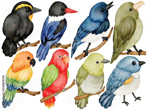 Watercolor Colorful Tropical Birds Clipart Set Exotic Parrot Kingfisher Lovebird Wildlife Illustration Isolated on White Background