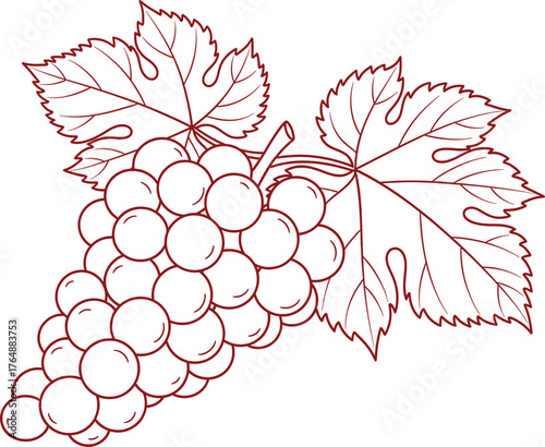 A stylized vector illustration depicting a bunch of grapes with accompanying vine leaves. The artwork uses a line-drawing style with subtle color gradients, giving it a fresh and artistic feel. 