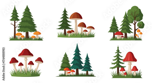 Forest scene with mushrooms and trees in nature.