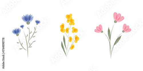 Watercolor artwork shows a set of three delicate floral arrangements. Flowers in blue, yellow and pink hues sit against a clean white backdrop.