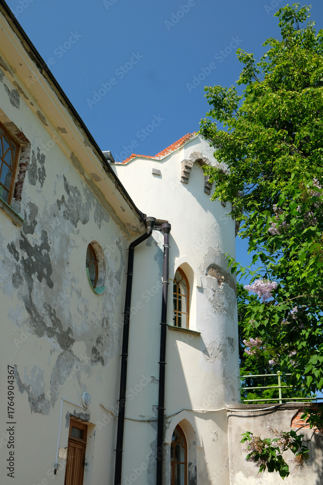 Fototapeta premium a shabby building and a green tree