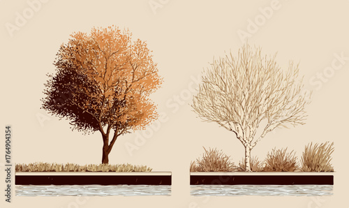 깊어가는 가을의 풍성함과 다가오는 겨울의 고요함을 섬세하게 묘사한 두 그루의 나무가 벡터 일러스트레이션으로 자연의 순환적 아름다움과 계절의 변화를 예술적으로 표현합니다.