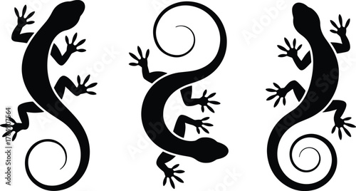 Three black lizards in silhouette illustration with curled tails pattern
