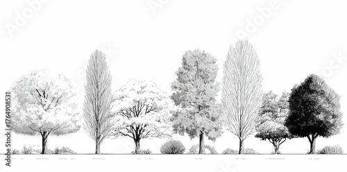 다양한 유형의 나무가 흰색 배경에 벡터 스타일로 그려져 있으며 자연의 아름다움을 표현합니다.