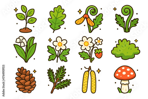 May Forest Flora Icons. May forest flora. Colorful isometric vector icons set of May forest flora: birch sapling, oak leaf, maple samara, curled fern, lily of