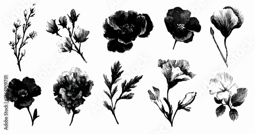 흑백 수채화 꽃 벡터 일러스트레이션은 우아함과 섬세함을 담아내며 다양한 디자인 프로젝트에 활용될 수 있습니다.