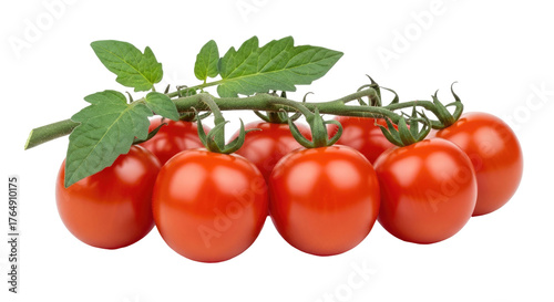 Close-up of ripe, red cherry tomatoes still on the vine with green leaves
