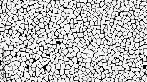 서로 다른 크기와 모양의 불규칙한 조각들이 유기적으로 연결되어 만들어내는 흑백의 추상적인 패턴은 현대적인 디자인과 복잡한 구조의 아름다움을 동시에 담아내며 시각적인 깊이를 더합니다.