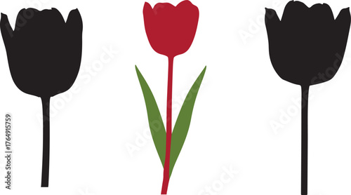 Red tulip between black tulip silhouettes flower