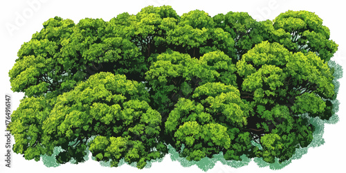 하얀 배경 위에 펼쳐진 울창하고 싱그러운 초록빛 숲의 벡터 일러스트레이션은, 지구 생태계의 풍요로움과 지속가능한 미래를 향한 친환경적 메시지를 담고 있습니다.