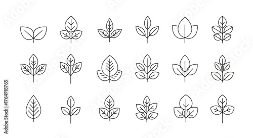 Collection of various leaf icons in vector format