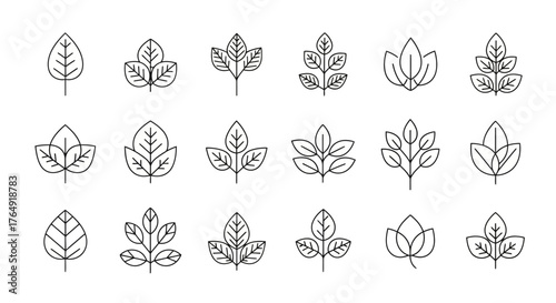 Set of various leaf icons in vector format