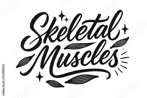 Skeletal Muscles Artistry. Script Hand-Lettering ? "Skeletal Muscles" in flowing brush script, semi-cursive with fluid strokes, slight upward tilt to convey