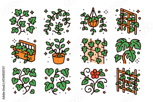 Colorful Climbing Plants Icons. Climbing plants. Colorful isometric vector icons set of climbing plants: ivy vine, creeping vine, hanging vine, climbing