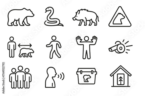 Wild Animal Icons. Wild Animal Encounter. Line icon set of Wild Animal Encounter: bear silhouette, snake, boar, warning sign, safe distance line, back away