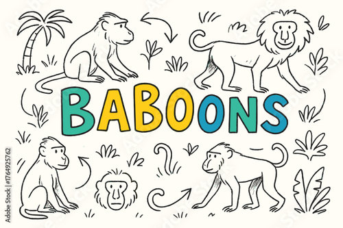 Colorful Baboon Doodles. Doodle / Sketch ? "Baboons" in playful hand-drawn letters, rough sketch outlines with arrows, small baboon faces, tails, and jungle