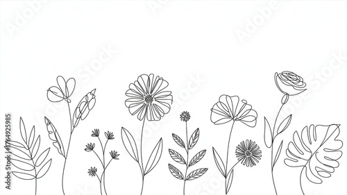 Minimalist line art illustration of various wildflowers and botanical elements on a white background