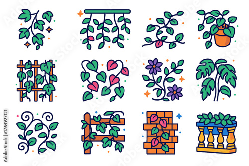 Leafy Vine Icons. Leafy vines. Colorful isometric vector icons set of leafy vines: ivy vine, hanging vine, creeping vine, potted vine, climbing vine on